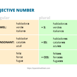 Gramatica b noun adjective agreement