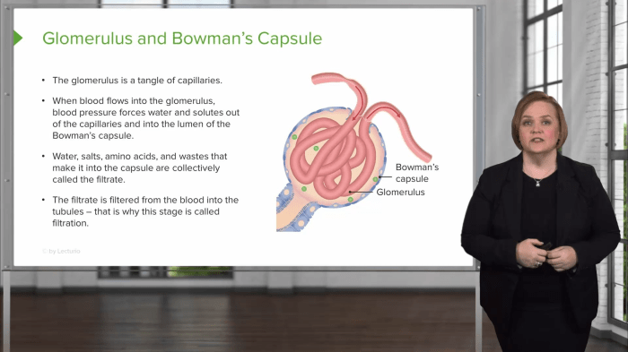 Rn learning system medical-surgical renal and urinary practice quiz