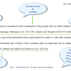 Citation according mla text correctly standards uses example brainly