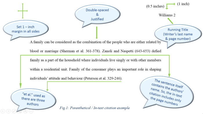 Citation according mla text correctly standards uses example brainly