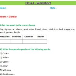 The gender of nouns spanish worksheet answers key